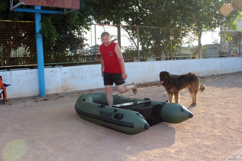 Фотография № 195002