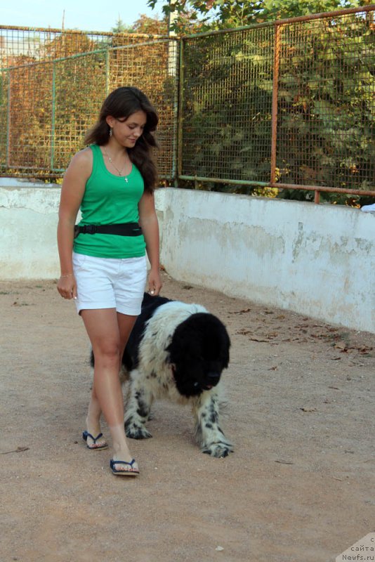 Фотография № 195004