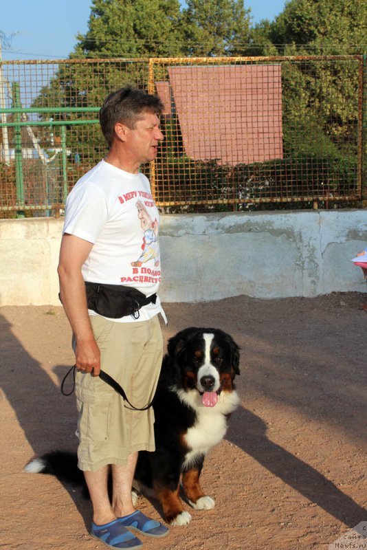 Фотография № 195008