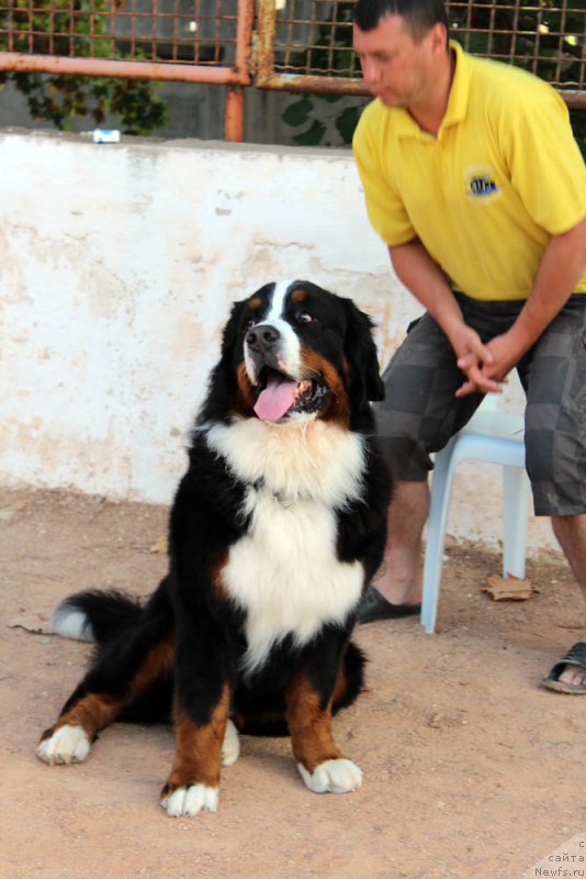 Фотография № 195010