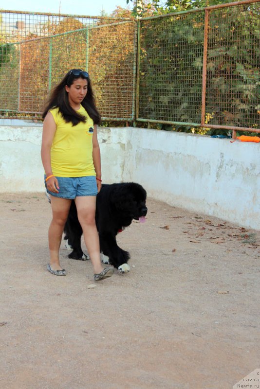 Фотография № 195015