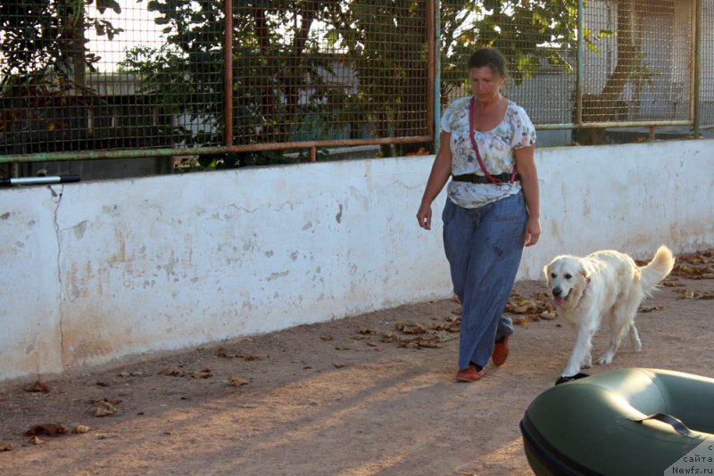 Фотография № 195017