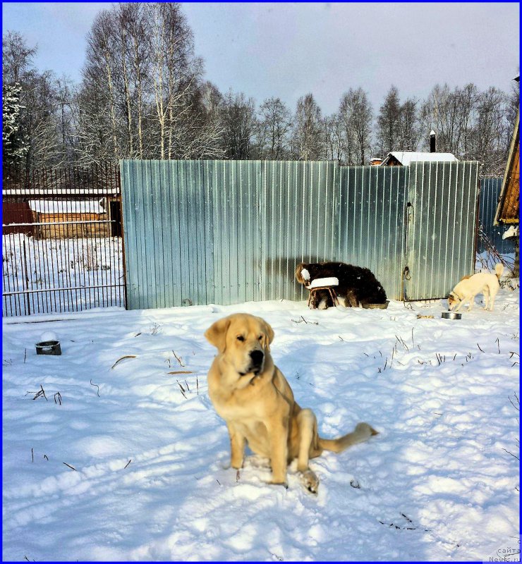 Фото: Lena Zyirina (Лена Зырина)