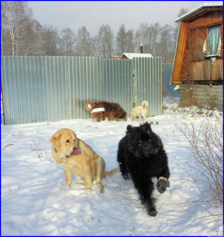 Фотография № 195036