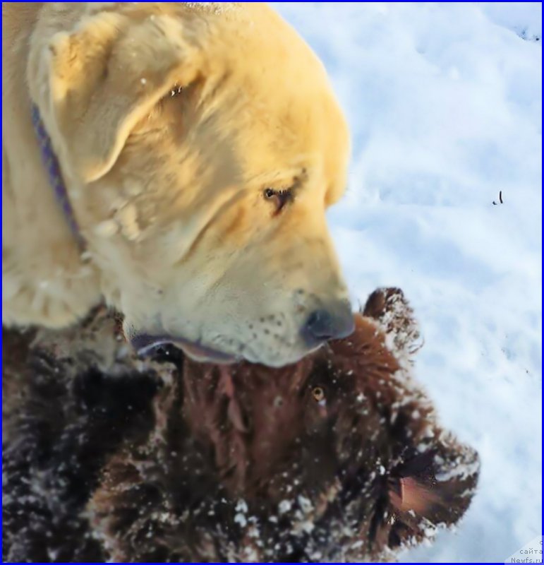 Фотография № 195050