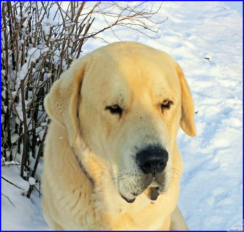 Фотография № 195058