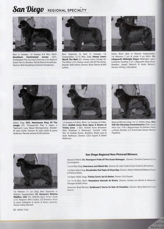 Фотография № 195059