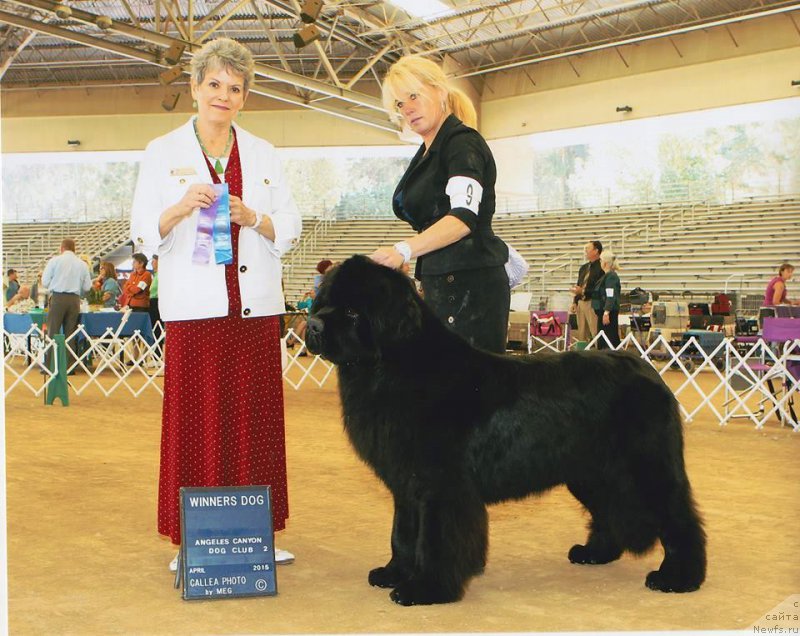 Фотография № 195061