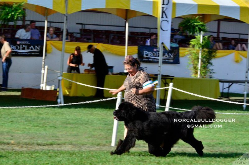 Фотография № 195063