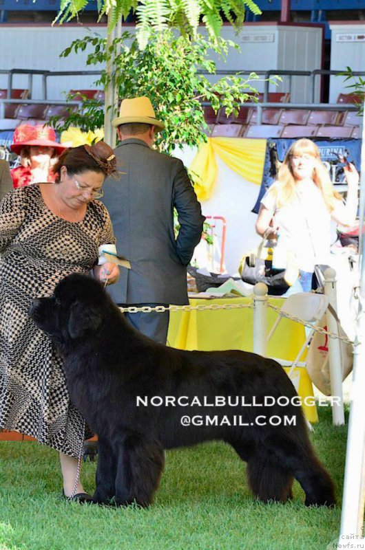 Фотография № 195064