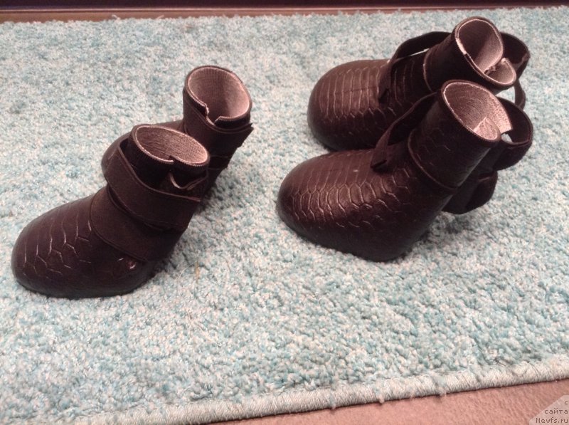 Фотография № 195070