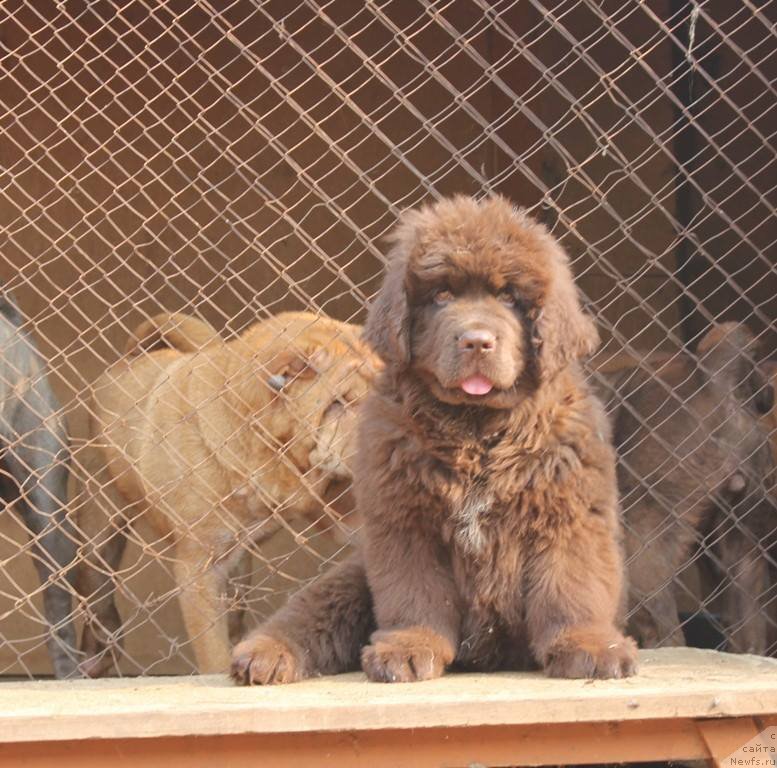 Фотография № 195072