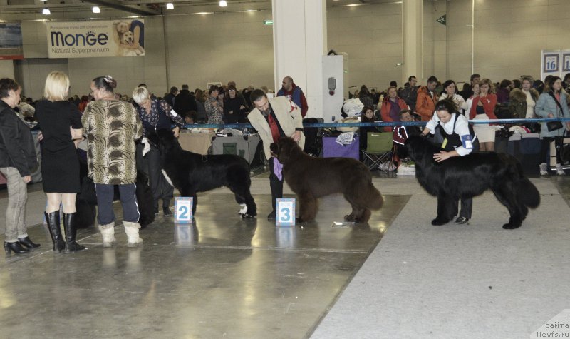 Фотография № 195074