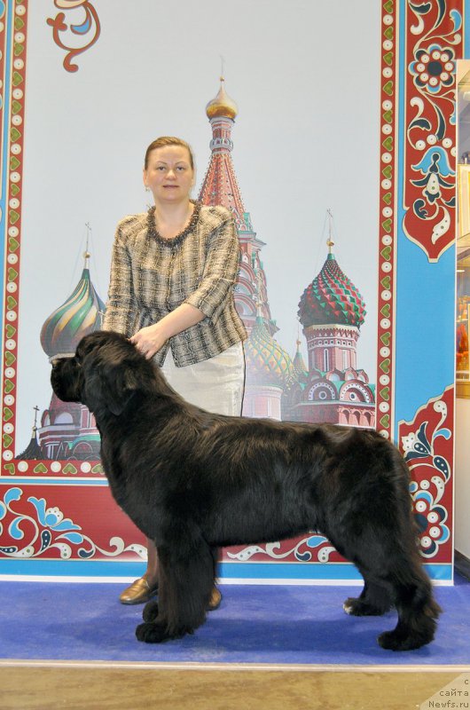 Фотография № 195076