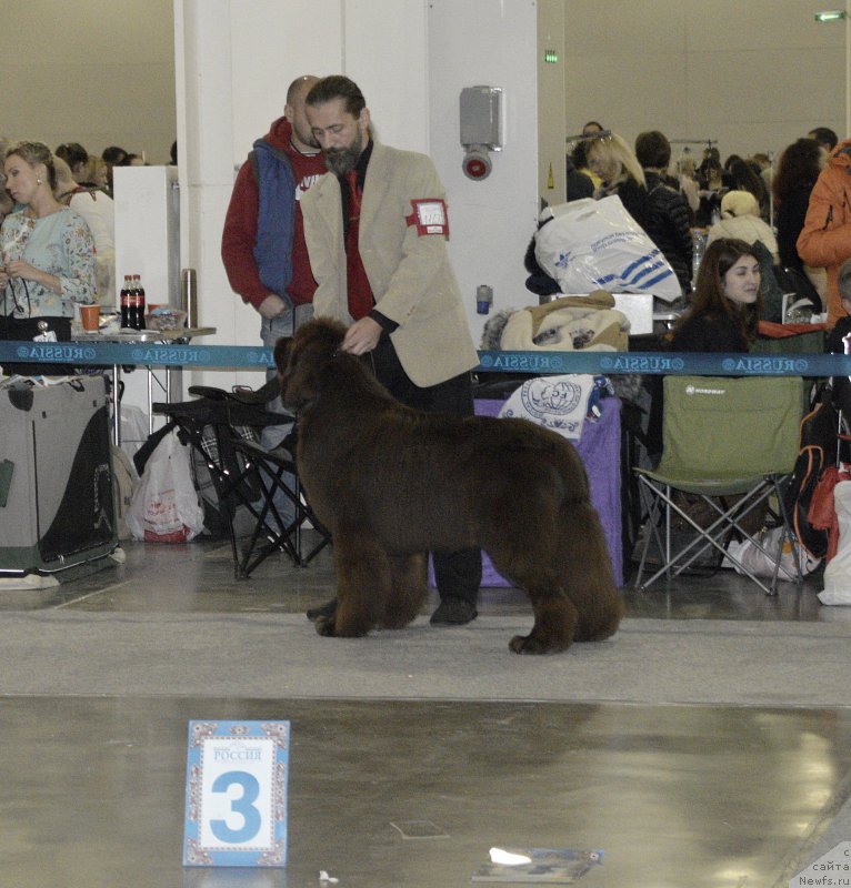 Фотография № 195077