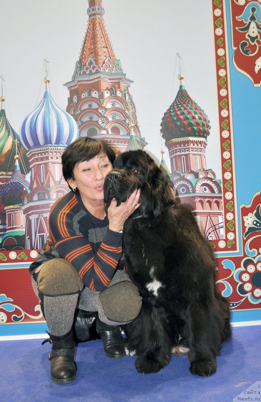 Фотография № 195080