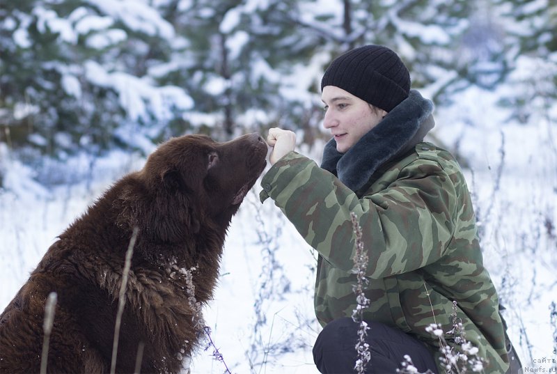 Фотография № 195082