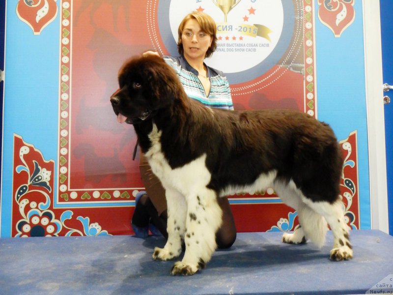 Фотография № 195093