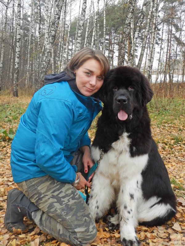 Фотография № 195097