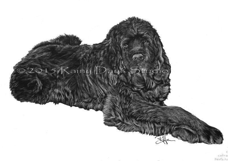 Фотография № 195103