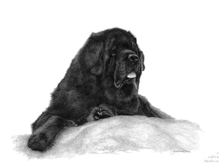 Фотография № 195104