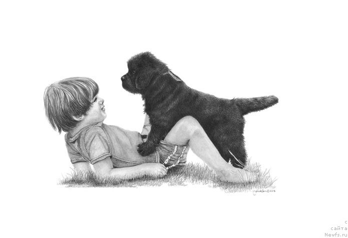 Фотография № 195105