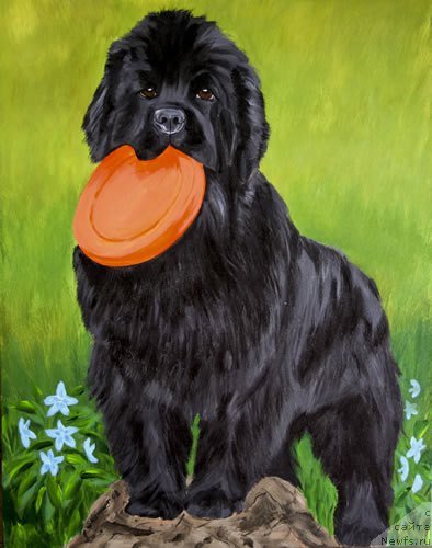 Фотография № 195112