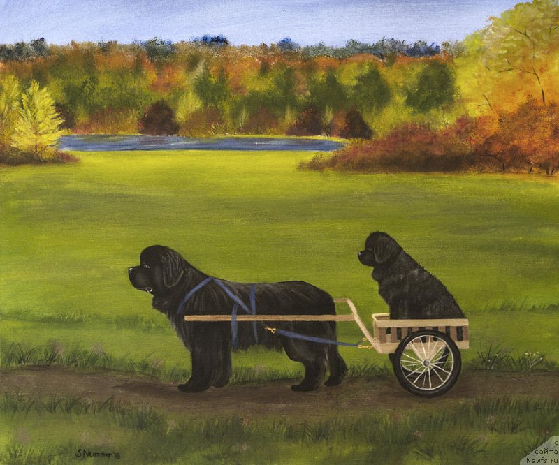 Фотография № 195113