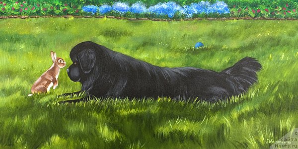 Фотография № 195114