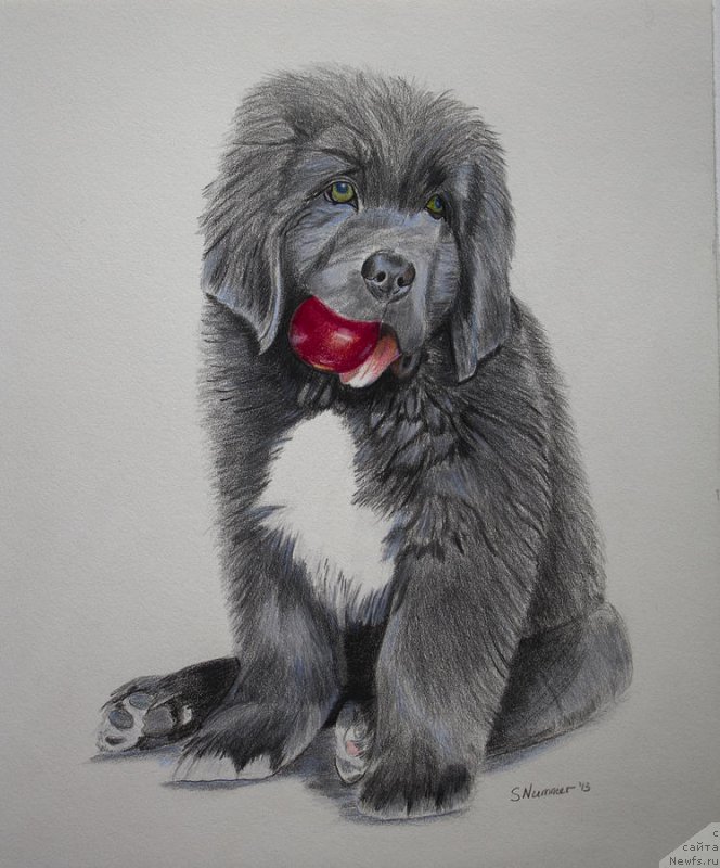 Фотография № 195115