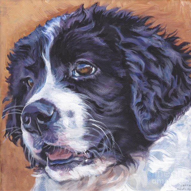 Фотография № 195123