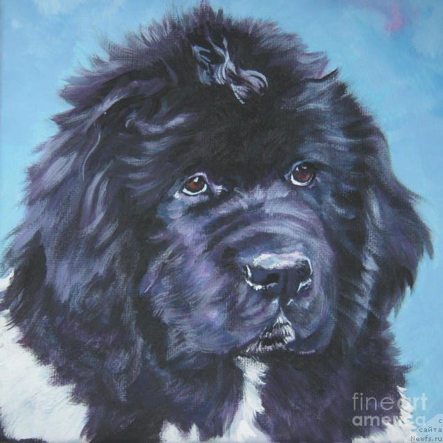 Фотография № 195124