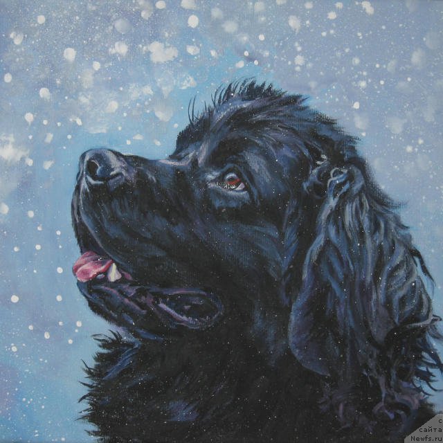 Фотография № 195125