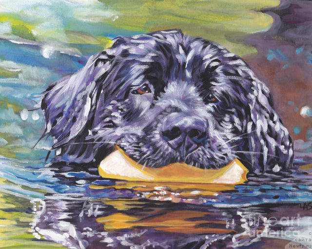 Фотография № 195127