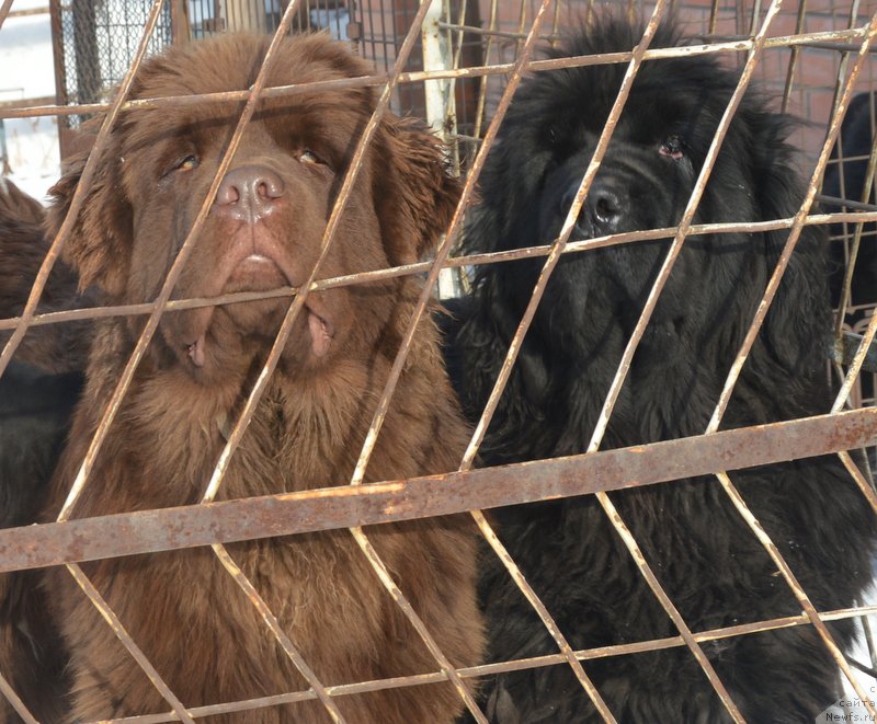 Фотография № 195130