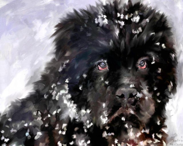 Фотография № 195131