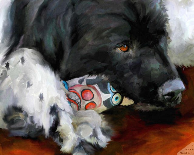 Фотография № 195132