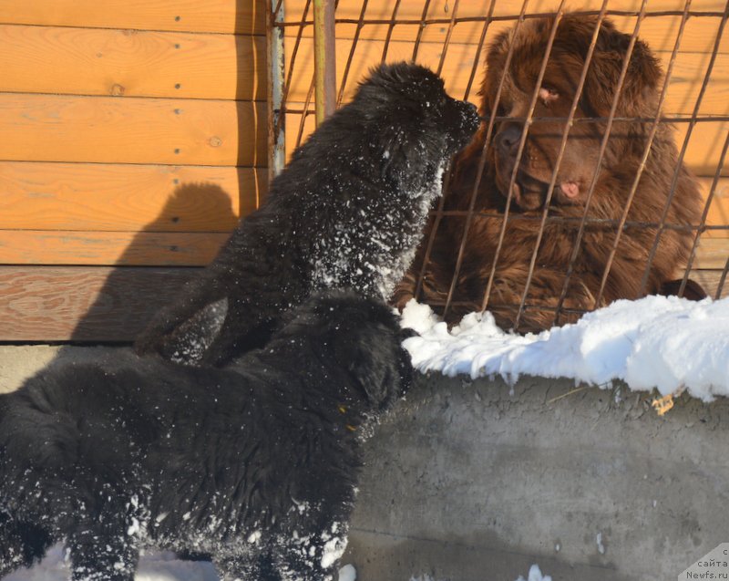 Фото: [d14446] и дети