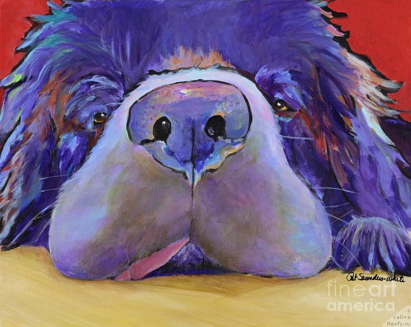 Фотография № 195140