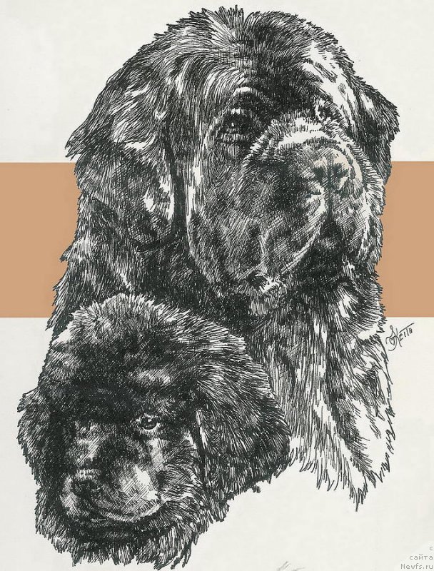 Фотография № 195142