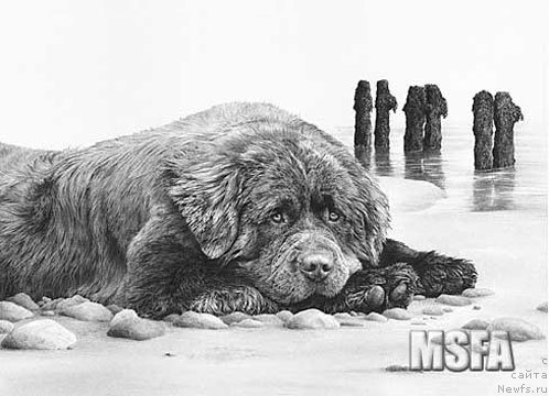 Фотография № 195159