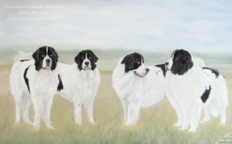 Фотография № 195163