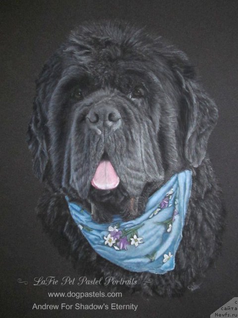 Фотография № 195164