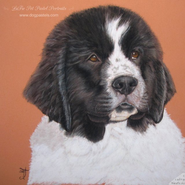 Фотография № 195167