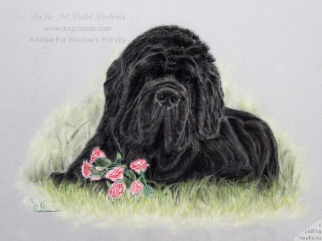 Фотография № 195169