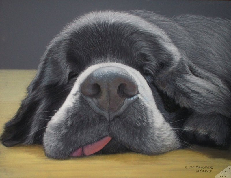 Фотография № 195173