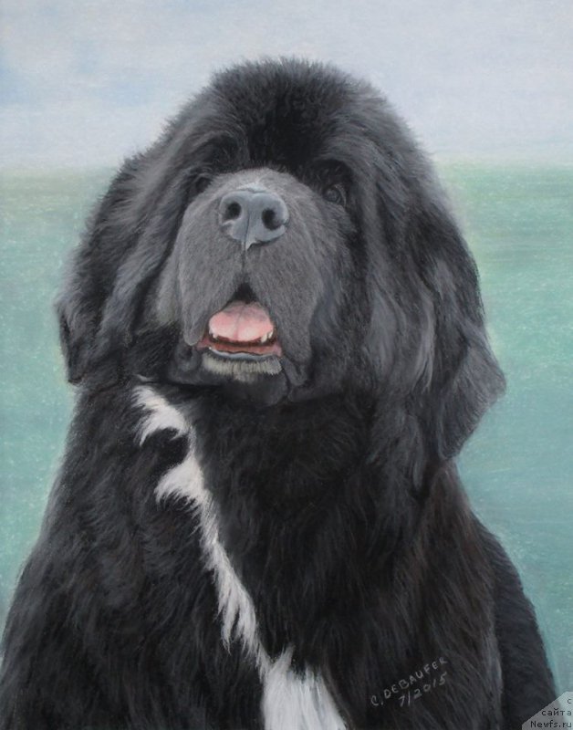 Фотография № 195174