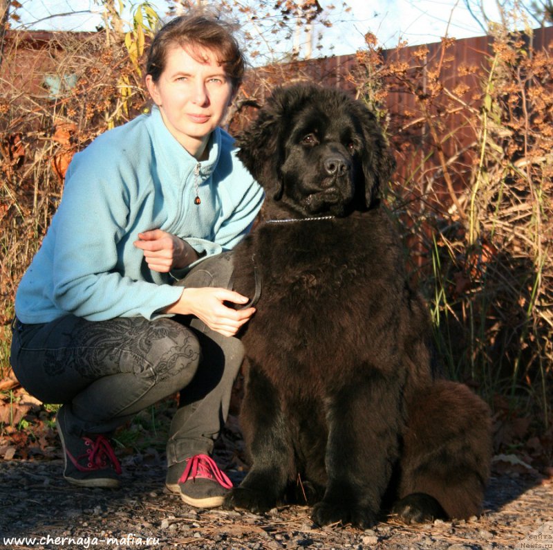 Фотография № 195221