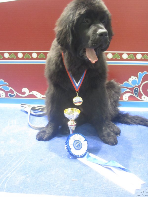 Фотография № 195225