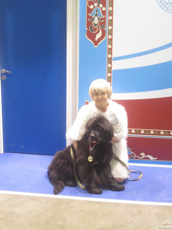 Фотография № 195229